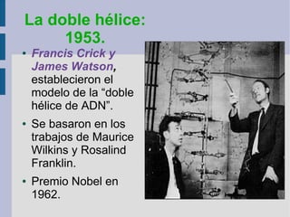 ● Francis Crick y
James Watson,
establecieron el
modelo de la “doble
hélice de ADN”.
● Se basaron en los
trabajos de Maurice
Wilkins y Rosalind
Franklin.
● Premio Nobel en
1962.
La doble hélice:
1953.
 
