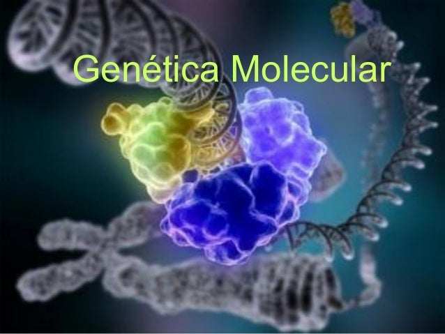 Resultado de imagen de genetica molecular