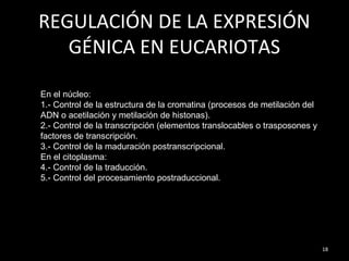 REGULACIÓN DE LA EXPRESIÓN
GÉNICA EN EUCARIOTAS
18
En el núcleo:
1.- Control de la estructura de la cromatina (procesos de metilación del
ADN o acetilación y metilación de histonas).
2.- Control de la transcripción (elementos translocables o trasposones y
factores de transcripción.
3.- Control de la maduración postranscripcional.
En el citoplasma:
4.- Control de la traducción.
5.- Control del procesamiento postraduccional.
 
