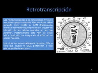 Retrotranscripción
19
Los Retrovirus gracias a la transcriptasa inversa o
retrotranscriptasa sintetizan ADN de doble hélice
tomando como molde su ARN (transcripción
inversa o retrotranscripción) durante el proceso de
infección de las células animales en las que
penetran. Posteriormente este ADN de doble
hélice producido se integra en el ADN de las
células huésped.
Los virus de inmunodeficiencia humana (HIV o
VIH) que causan el SIDA pertenecen a esta
misma familia de retrovirus.
 
