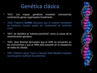 Genética clásica
3
• 1913: Los mapas genéticos muestran cromosomas
conteniendo genes organizados linealmente.
• 1928: Frederick Griffith descubre que el material hereditario
de bacterias muertas puede ser incorporado en bacterias
vivas.
• 1931: se identifica el “sobrecruzamiento” como la causa de la
recombinación genética.
• 1933: Jean Brachet demuestra que el ADN se encuentra en
los cromosomas y que el ARN está presente en el citoplasma
de todas las células.
• 1941: Edward Lawrie Tatum y George Wells Beadle muestran
que los genes codifican las proteínas.
 