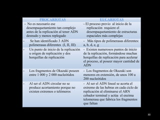 30
PROCARIOTAS EUCARIOTAS
- No es necesario ese
desempaquetamiento tan complejo
antes de la replicación al tener ADN
desnudo y menos replegado
- El proceso previo al inicio de la
replicación requiere el
desempaquetamiento de estructuras
espaciales más complejas
- Se han identificado 3 ADN
polimerasas diferentes (I, II, III)
- Más tipos de polimerasas diferentes:
a, b, d, e, g
- Un punto de inicio de la replicación
u origen de replicación y dos
horquillas de replicación
- Existen numerosos puntos de inicio
de la replicación, formándose muchas
horquillas de replicación para acelerar
el proceso, al poseer mayor cantidad de
ADN
- Los fragmentos de Okazaki poseen
entre 1 000 y 2 000 nucleótidos
- Los fragmentos de Okazaki son
menores en extensión, de unos 100 a
200 nucleótidos
- Al ser el ADN circular no se
produce acortamiento porque no
existen extremos o telómeros
- Al ser el ADN lineal se acorta el
extremo de las hebras en cada ciclo de
replicación al eliminarse el ARN
cebador terminal y actúa el enzima
telomerasa que fabrica los fragmentos
que faltan
 