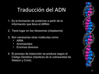32
Traducción del ADN
1. Es la formación de proteínas a partir de la
información que lleva el ARNm
2. Tiene lugar en los ribosomas (citoplasma)
3. Son necesarias otras moléculas como:
• ARNt
• Aminoácidos
• Enzimas diversos
4. El proceso de traducción se produce según el
Código Genético (hipótesis de la colinearidad de
Watson y Crick).
 