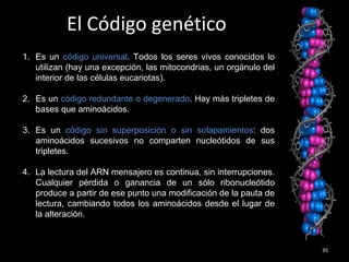 El Código genético
35
1. Es un código universal. Todos los seres vivos conocidos lo
utilizan (hay una excepción, las mitocondrias, un orgánulo del
interior de las células eucariotas).
2. Es un código redundante o degenerado. Hay más tripletes de
bases que aminoácidos.
3. Es un código sin superposición o sin solapamientos: dos
aminoácidos sucesivos no comparten nucleótidos de sus
tripletes.
4. La lectura del ARN mensajero es continua, sin interrupciones.
Cualquier pérdida o ganancia de un sólo ribonucleótido
produce a partir de ese punto una modificación de la pauta de
lectura, cambiando todos los aminoácidos desde el lugar de
la alteración.
 