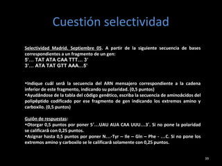 Cuestión selectividad
39
Selectividad Madrid. Septiembre 05. A partir de la siguiente secuencia de bases
correspondientes a un fragmento de un gen:
5’… TAT ATA CAA TTT… 3’
3’… ATA TAT GTT AAA…5’
•Indique cuál será la secuencia del ARN mensajero correspondiente a la cadena
inferior de este fragmento, indicando su polaridad. (0,5 puntos)
•Ayudándose de la tabla del código genético, escriba la secuencia de aminoácidos del
polipéptido codificado por ese fragmento de gen indicando los extremos amino y
carboxilo. (0,5 puntos)
Guión de respuestas:
•Otorgar 0,5 puntos por poner 5’…UAU AUA CAA UUU…3’. Si no pone la polaridad
se calificará con 0,25 puntos.
•Asignar hasta 0,5 puntos por poner N…-Tyr – Ile – Gln – Phe - …C. Si no pone los
extremos amino y carboxilo se le calificará solamente con 0,25 puntos.
 