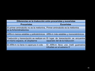 45
Diferencias en la traducción entre procariotas y eucariotas
Procariotas Eucariotas
El primer aminoácido no es la metionina,
es la N-formilmetionina
Primer aminoácido es la metionina
ARN-m menos estables y policistrónicos ARN-m más estables y monocistrónicos
Traducción y transcripción se realizan en
el mismo espacio, el citoplasma
El lugar de transcripción se encuentra
separado del de la traducción
El ARN-m no tiene ni caperuza ni cola El ARN-m lleva una metil guanosina
trifosfato en el extremo 5’
 