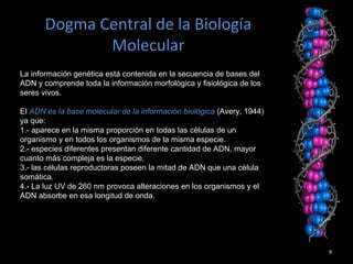 9
Dogma Central de la Biología
Molecular
La información genética está contenida en la secuencia de bases del
ADN y comprende toda la información morfológica y fisiológica de los
seres vivos.
El ADN es la base molecular de la información biológica (Avery, 1944)
ya que:
1.- aparece en la misma proporción en todas las células de un
organismo y en todos los organismos de la misma especie.
2.- especies diferentes presentan diferente cantidad de ADN, mayor
cuanto más compleja es la especie.
3.- las células reproductoras poseen la mitad de ADN que una célula
somática.
4.- La luz UV de 260 nm provoca alteraciones en los organismos y el
ADN absorbe en esa longitud de onda.
 