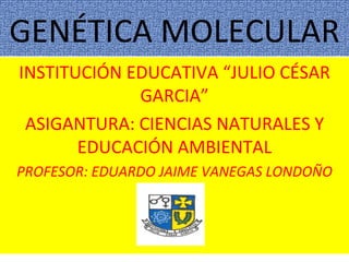 GENÉTICA MOLECULAR INSTITUCIÓN EDUCATIVA “JULIO CÉSAR GARCIA” ASIGANTURA: CIENCIAS NATURALES Y EDUCACIÓN AMBIENTAL PROFESOR: EDUARDO JAIME VANEGAS LONDOÑO 