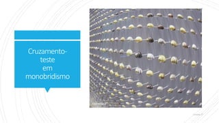 Cruzamento-
teste
em
monobridismo
 