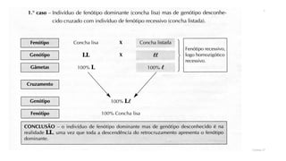 Genética (monobridismo)