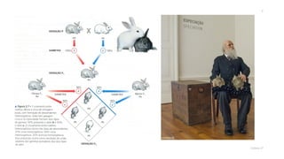 Genética (monobridismo exercícios)