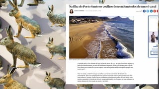 Genética (monobridismo exercícios)