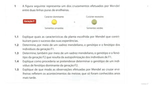 Genética (monobridismo exercícios)