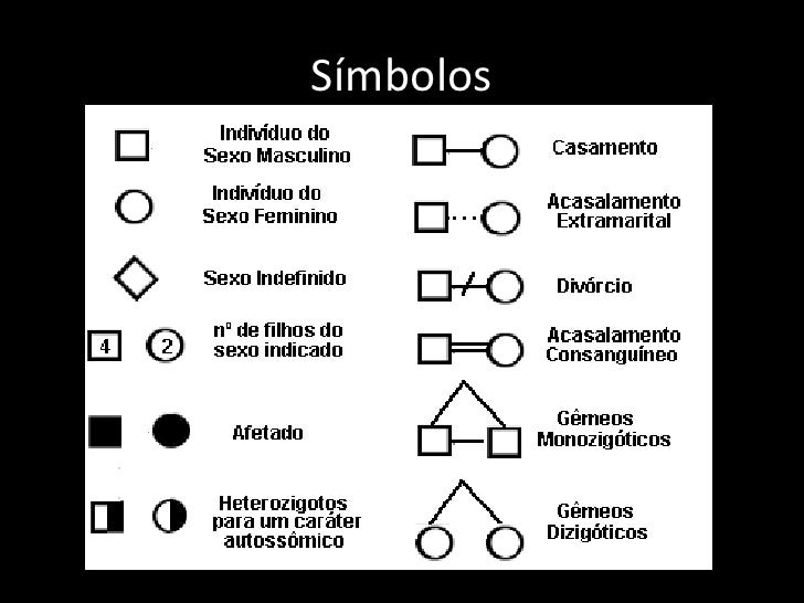 Que Nome Recebe A Representação Gráfica Usada Em Genética