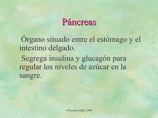 Páncreas
Órgano situado entre el estómago y el
intestino delgado.
Segrega insulina y glucagón para
regular los niveles de azúcar en la
sangre.

©Prentice Hall, 1999

 