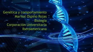 Genética y comportamiento
Marisol Ospino Rojas
Biología
Corporación Universitaria
Iberoamericana
 