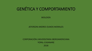 GENÉTICA Y COMPORTAMIENTO
BIOLOGÍA
JEFERSON ANDRES OLMOS MORALES
CORPORACIÓN UNIVERSITARIA IBEROAMERICANA
YOPAL-CASANARE
2018
 