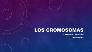 LOS CROMOSOMAS
CRISTIAND BRICEÑO
C.I. V-08718703
 
