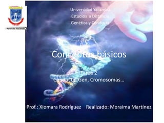 Conceptos básicos
Tarea 2
Conducta, Gen, Cromosomas…
Prof.: Xiomara Rodríguez Realizado: Moraima Martínez
Universidad Yacambú
Estudios a Distancia
Genética y Conducta
 