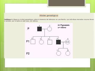 Genética y herencia