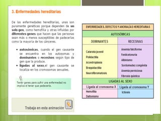 Genética y herencia