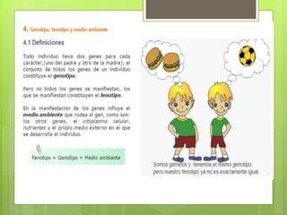 Genética y herencia