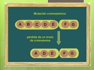 Genética y herencia