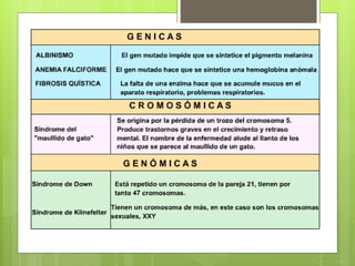 Genética y herencia