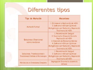 Genética y herencia