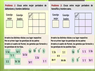 Genética y herencia