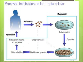 Genética y herencia