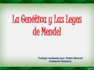 La Genética y Las Leyes
de Mendel
Trabajo realizado por: Pablo Manuel
Calderón Ramírez
 