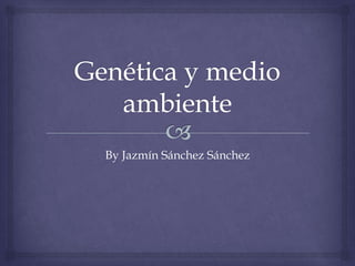 By Jazmín Sánchez Sánchez
 