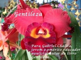 Gentileza Para Gabriel Chalita, jovem e emérito educador paulista, autor do livro Gentileza. 