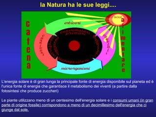 la Natura ha le sue leggi....
L'energia solare è di gran lunga la principale fonte di energia disponibile sul pianeta ed è
l'unica fonte di energia che garantisce il metabolismo dei viventi (a partire dalla
fotosintesi che produce zuccheri)
Le piante utilizzano meno di un centesimo dell'energia solare e i consumi umani (in gran
parte di origine fossile) corrispondono a meno di un decimillesimo dell'energia che ci
giunge dal sole.
 