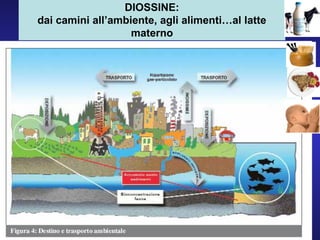DIOSSINE:
dai camini all’ambiente, agli alimenti…al latte
materno
 