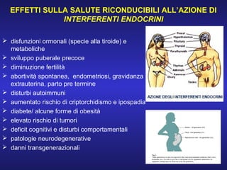 EFFETTI SULLA SALUTE RICONDUCIBILI ALL’AZIONE DI
INTERFERENTI ENDOCRINI
 disfunzioni ormonali (specie alla tiroide) e
metaboliche
 sviluppo puberale precoce
 diminuzione fertilità
 abortività spontanea, endometriosi, gravidanza
extrauterina, parto pre termine
 disturbi autoimmuni
 aumentato rischio di criptorchidismo e ipospadia
 diabete/ alcune forme di obesità
 elevato rischio di tumori
 deficit cognitivi e disturbi comportamentali
 patologie neurodegenerative
 danni transgenerazionali
 