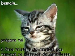 Demain… prépare toi  à être triste si tu ne m’as pas renvoyé ce message de gentillesse… 