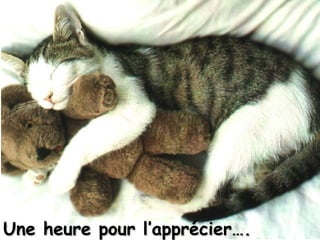 Une heure pour l’apprécier…. 