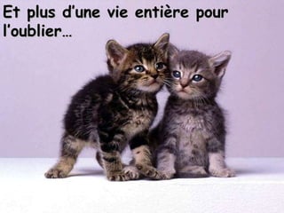 Et plus d’une vie entière pour l’oublier… 