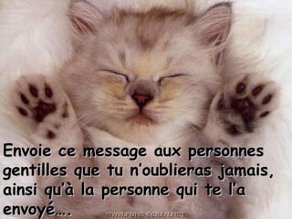 Envoie ce message aux personnes gentilles que tu n’oublieras jamais, ainsi qu’à la personne qui te l’a envoyé…. 
