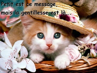 Petit est ce message, mais la gentillesse est là…. 