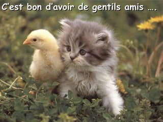 C’est bon d’avoir de gentils amis …. 