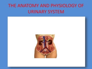 THE ANATOMY AND PHYSIOLOGY OF
URINARY SYSTEM
 