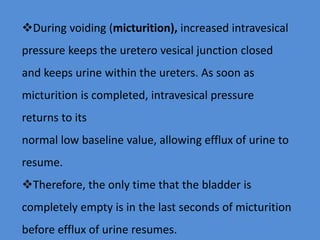 During voiding (micturition), increased intravesical
pressure keeps the uretero vesical junction closed
and keeps urine within the ureters. As soon as
micturition is completed, intravesical pressure
returns to its
normal low baseline value, allowing efflux of urine to
resume.
Therefore, the only time that the bladder is
completely empty is in the last seconds of micturition
before efflux of urine resumes.
 