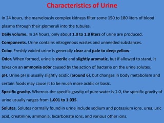 Characteristics of Urine
In 24 hours, the marvelously complex kidneys filter some 150 to 180 liters of blood
plasma through their glomeruli into the tubules.
Daily volume. In 24 hours, only about 1.0 to 1.8 liters of urine are produced.
Components. Urine contains nitrogenous wastes and unneeded substances.
Color. Freshly voided urine is generally clear and pale to deep yellow.
Odor. When formed, urine is sterile and slightly aromatic, but if allowed to stand, it
takes on an ammonia odor caused by the action of bacteria on the urine solutes.
pH. Urine pH is usually slightly acidic (around 6), but changes in body metabolism and
certain foods may cause it to be much more acidic or basic.
Specific gravity. Whereas the specific gravity of pure water is 1.0, the specific gravity of
urine usually ranges from 1.001 to 1.035.
Solutes. Solutes normally found in urine include sodium and potassium ions, urea, uric
acid, creatinine, ammonia, bicarbonate ions, and various other ions.
 