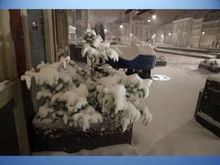 Gent in de sneeuw jan. 2013