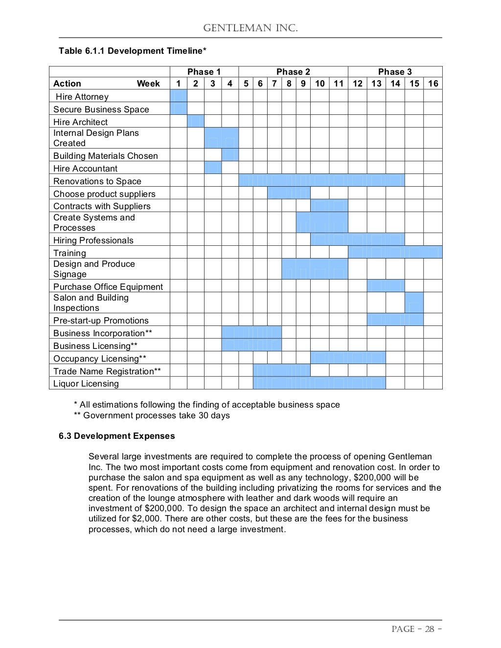 Startup business plan sample pdf picture