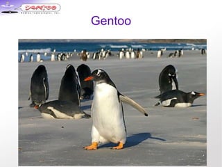 Gentoo