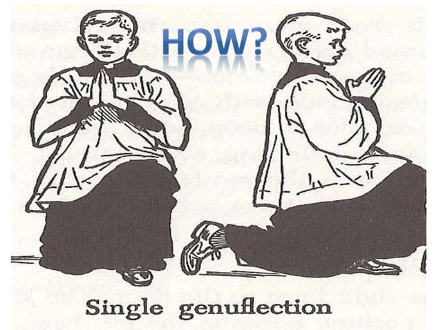 Genuflect Examples Why/When/How do we Genuflect? | PPT